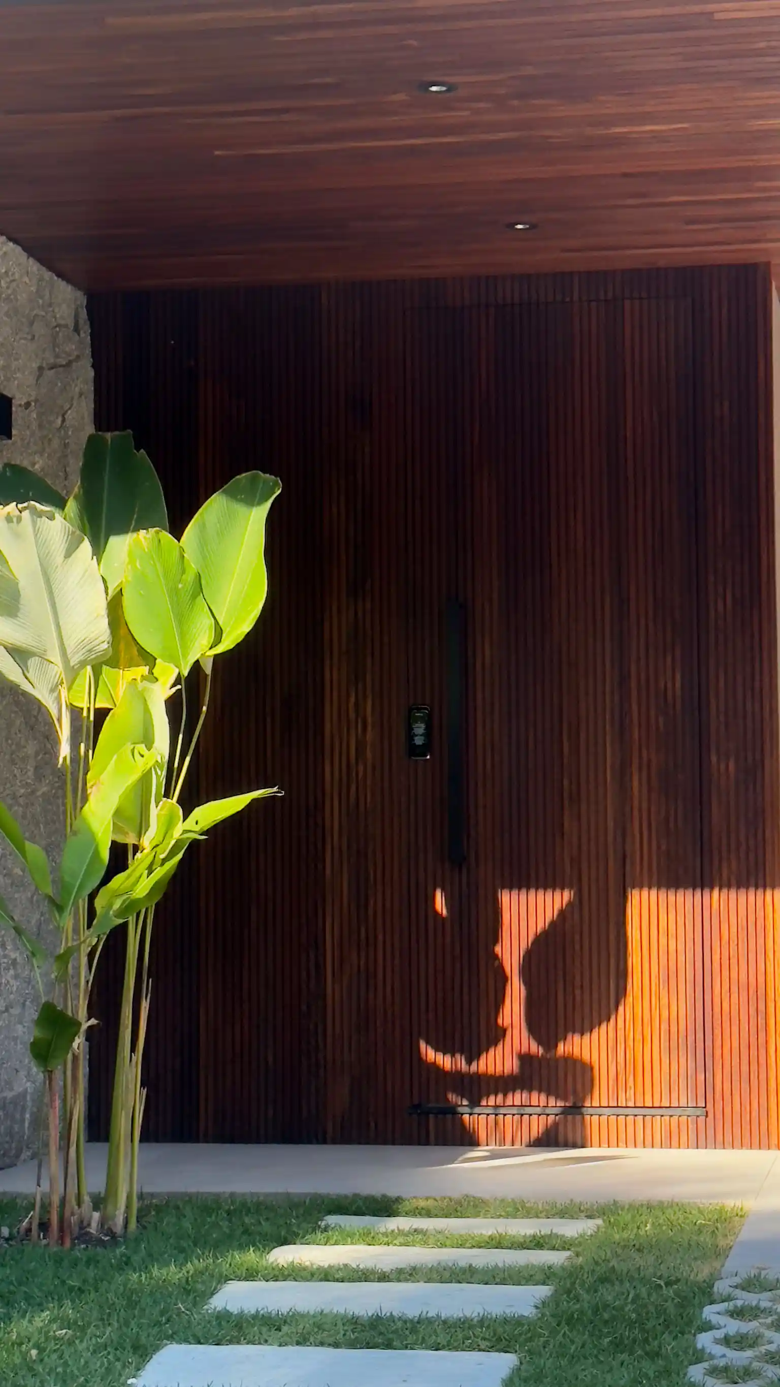 Tall pivoting timber entrance door with vertical slats and black pull handle